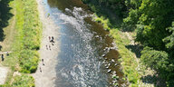 Ein Fluss führt wenig Wasser, Sommergrün, einige Menschen laufen am Ufer