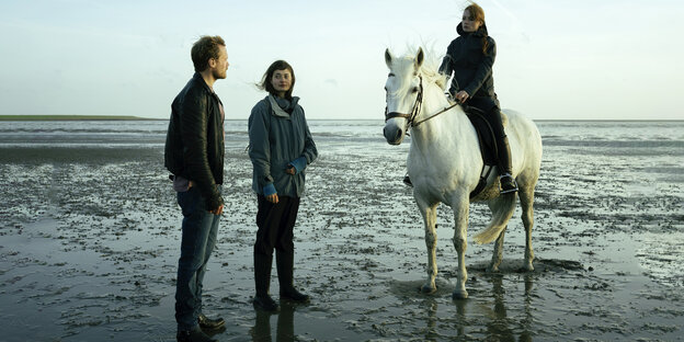 Ein Mann und zwei Frauen, davon eine auf einem Pferd sitzend, treffen sich an der Nordsee bei Ebbe.